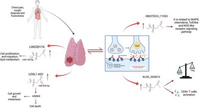 Long Non-Coding RNAs in the Cell Fate Determination of Neoplastic Thymic Epithelial Cells